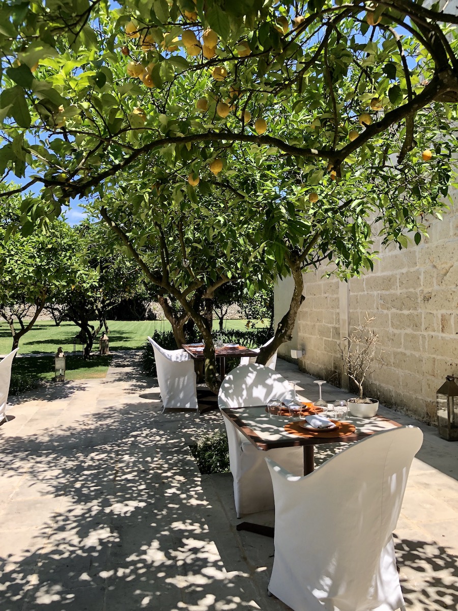 The restaurant under the lemon trees at Trapana in Puglia